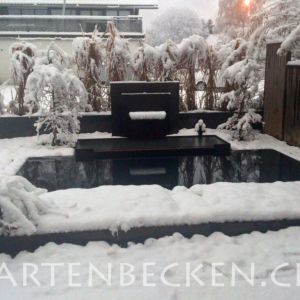 Winter 007